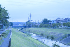 それでも僕は邦画を愛す