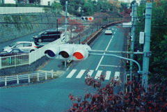 信号