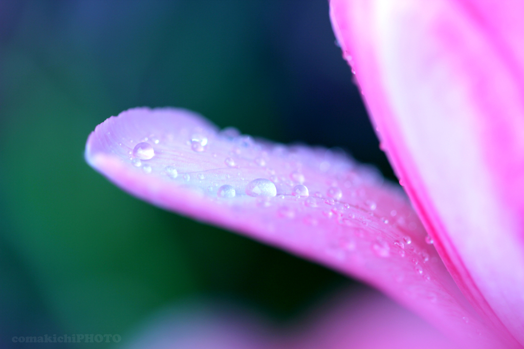 rainy day