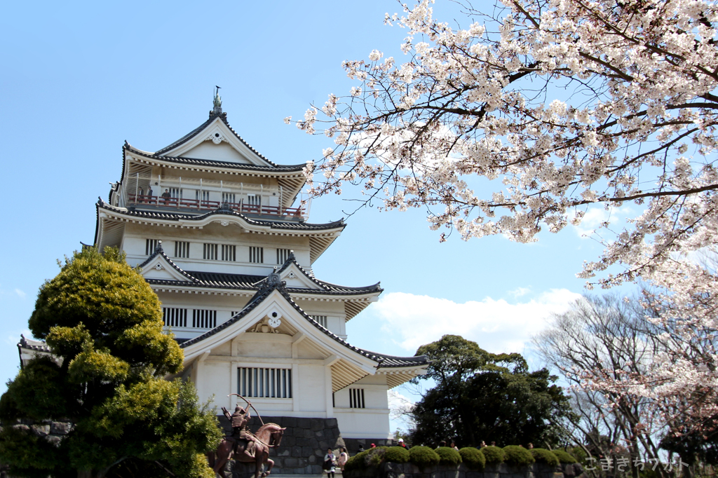 sakurasaku