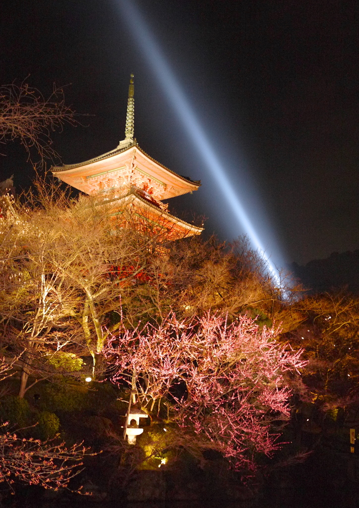 light up!