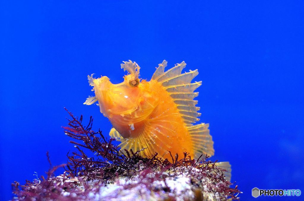 ビタミン摂りすぎじゃね？？
