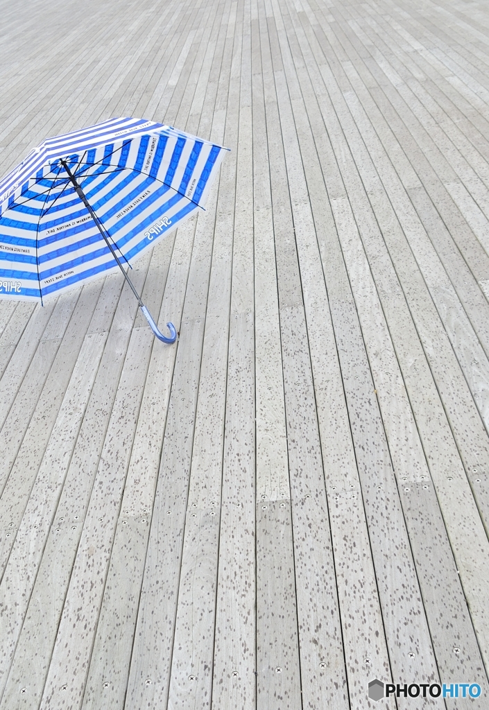 傘る？　そだね、雨がＯＮしてきちゃったから傘ろーね。