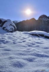 雪もスベれば話もスベる！