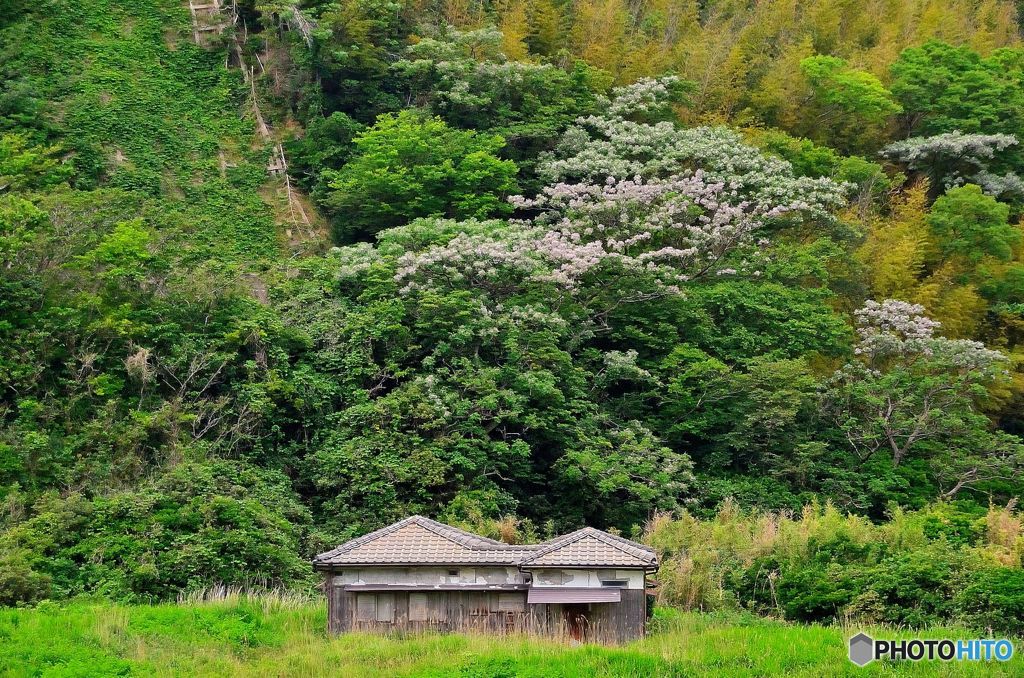 こんな風景を探してた