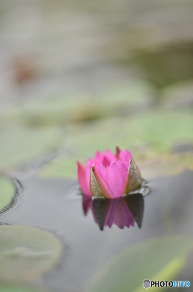 溺れてるのではないような気がする。