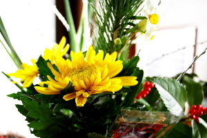 菊
