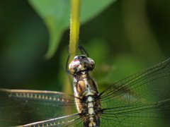 P7101662