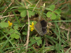 P7101590