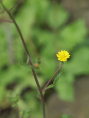 P5090895