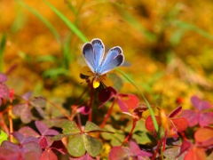 P7316918