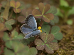 P7312052