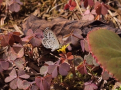 P7316936