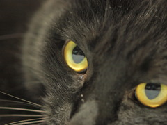 MACRO：プラクティス２