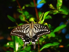 P8057203