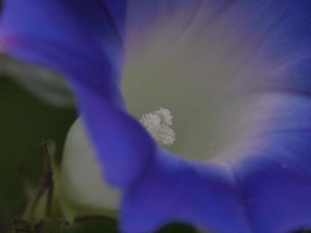 P7316948