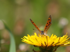 take off