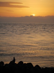 夕日二題(1)