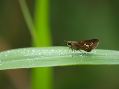 P9199315