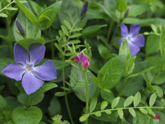 P5080781