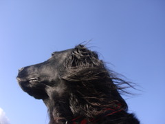 風を感じて