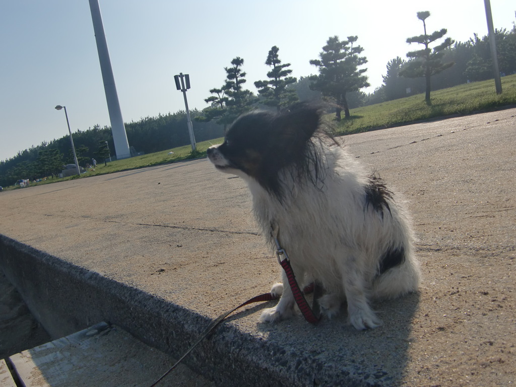 ほっこり