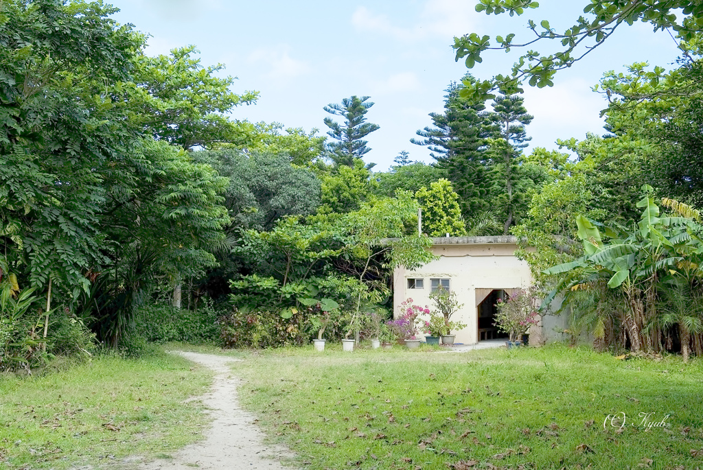 秘密基地