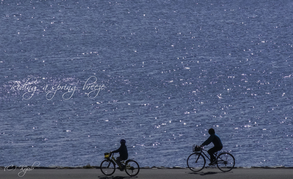 Riding a spring breeze