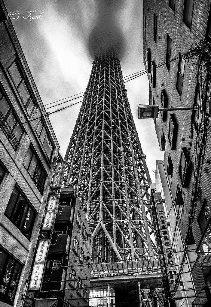 Tokyo Babel