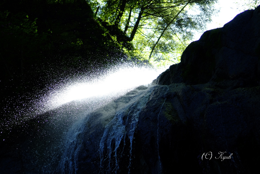 SPLASH!!