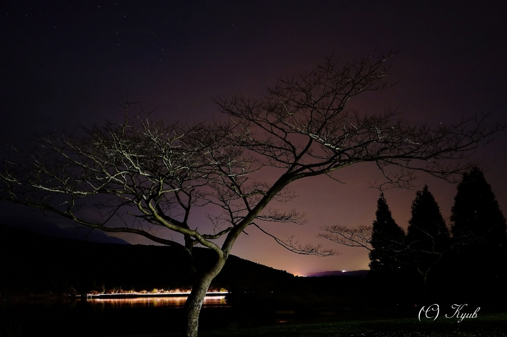 夜の宴