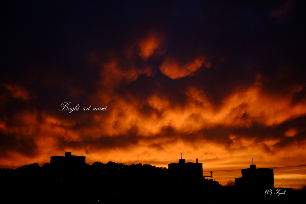 Bright red sunset