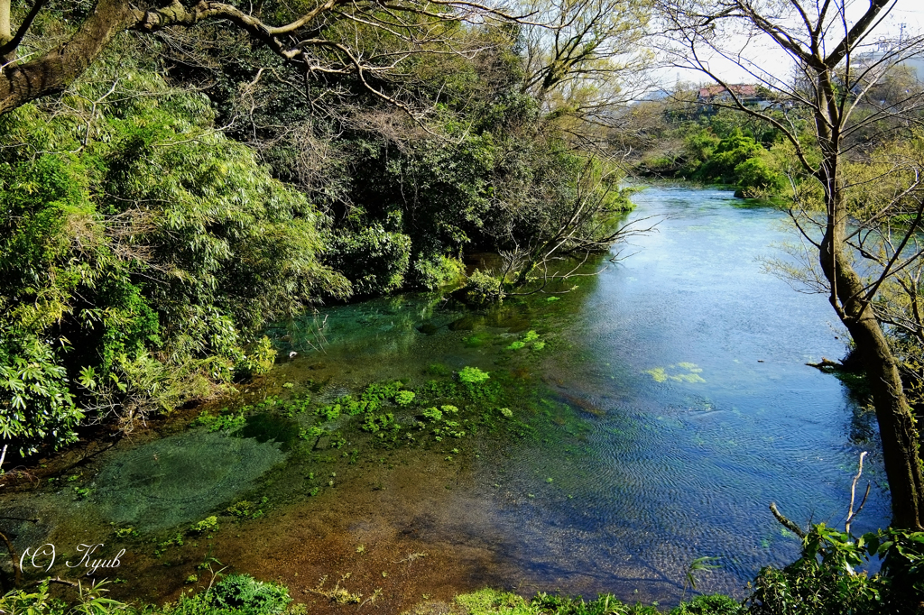 清流