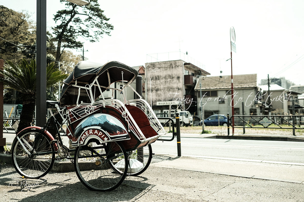 Trying to ride to the trike!