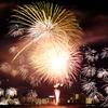 夜を彩る花々