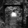 かけ橋