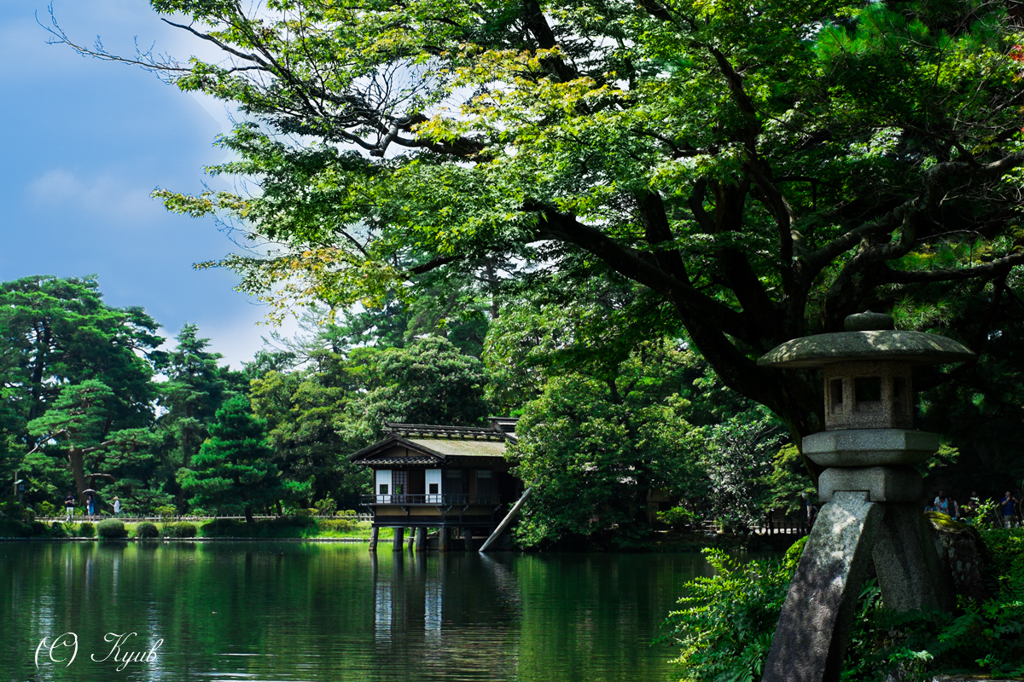 夏