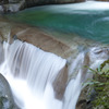 whale falls