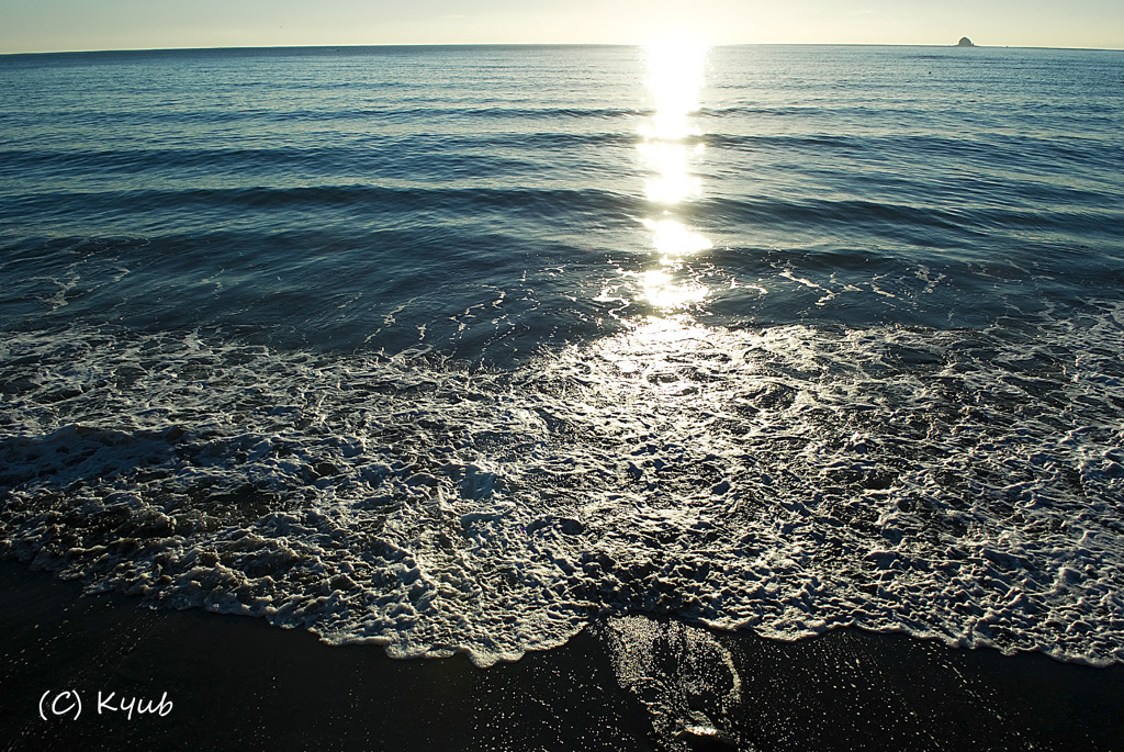 海