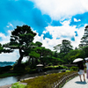 日本の夏