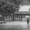 雨