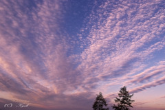 男心と秋の空