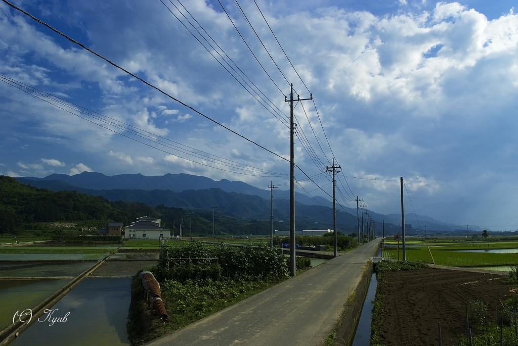 田舎道