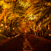 紅葉回廊