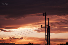 夕日と電線