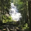 Bridal Falls