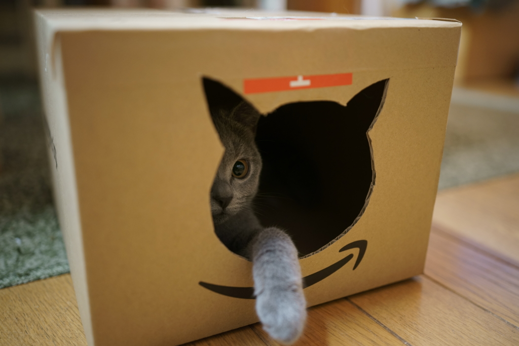 cat box