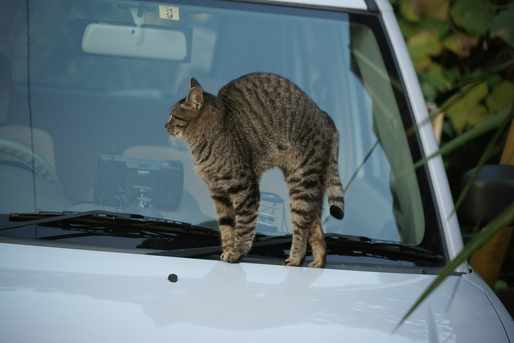 車上ストレッチ(1)