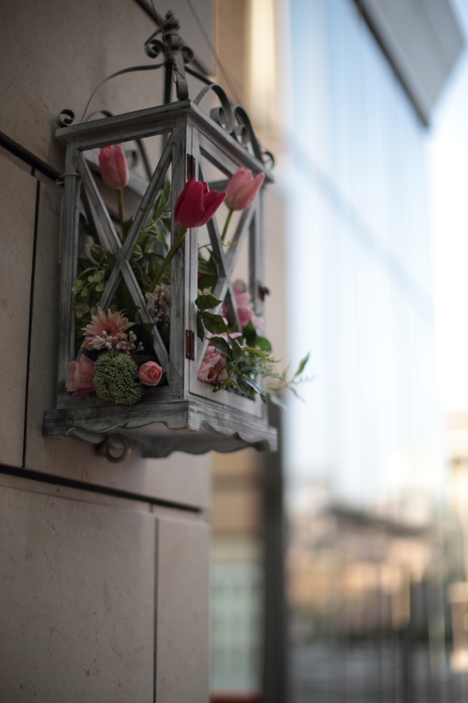 街角の花