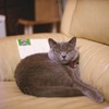 Linx 試し撮り f1.4